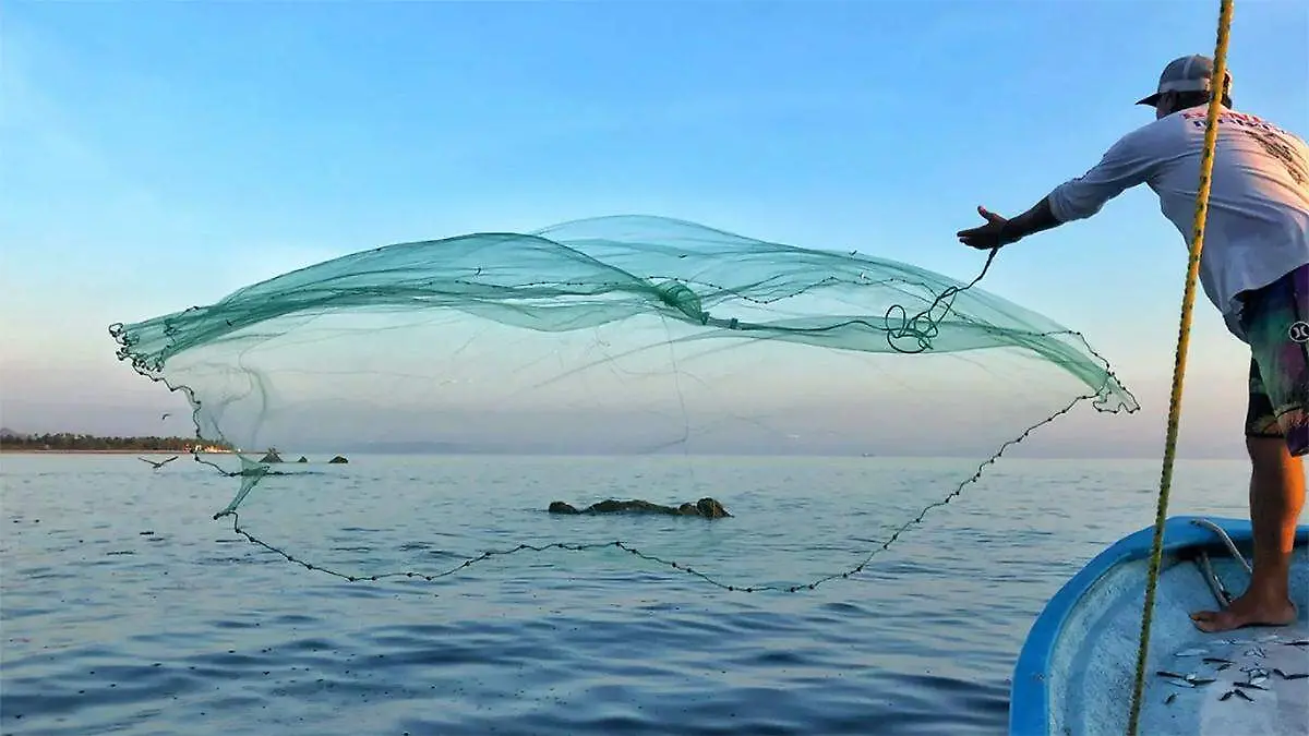 Pesca pescadores productores